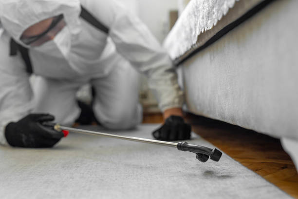 Professional Ant Control technician working in Center Point, NM
